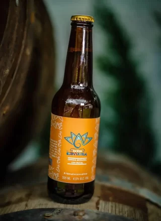craft-beer